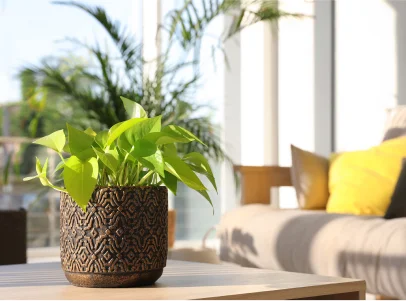 vente d'articles de décoration à Montigny-le-Bretonneux dans les Yvelines 78